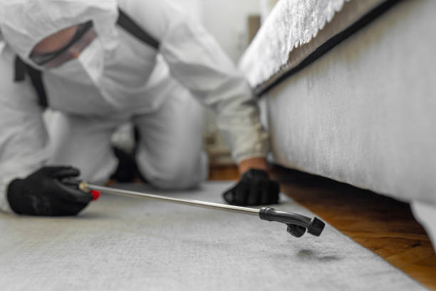 Professional Pest Control technician working in Douglas County County, WI